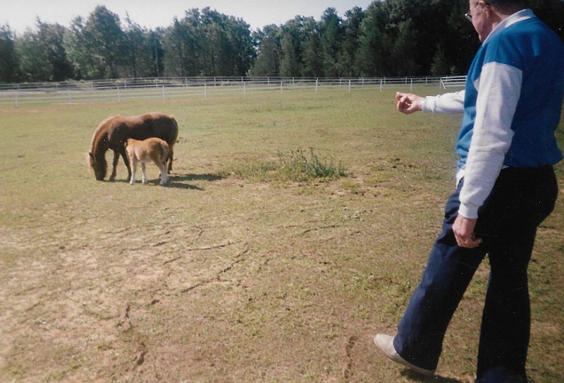 Ray Suring mini horses4.jpeg